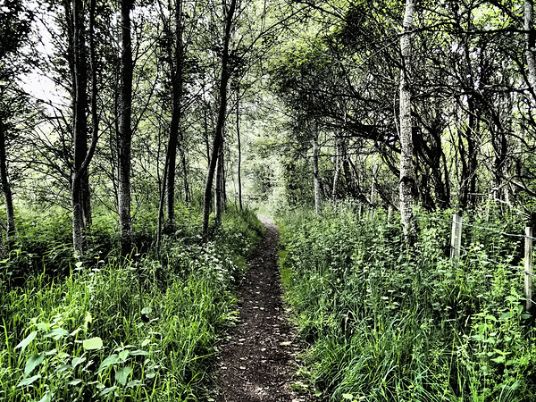 Natures Colourful Flow through the Scottish Highlands                                                                                                                      Print