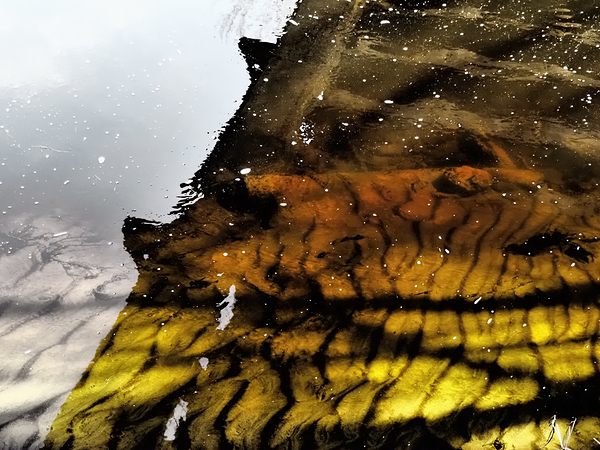   Abstract Mesmerizing Ripples                                                                                                          Print