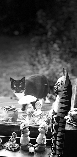 Everyday Lifes Moments- Unexpected Visitor Print