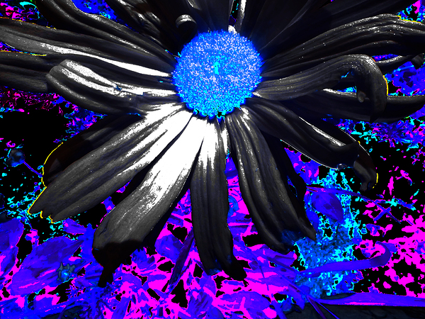 Abstract Vibrant Neon Daisy Flower Print