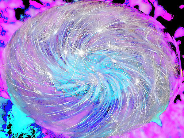 Abstract Cosmic Dandelion Print
