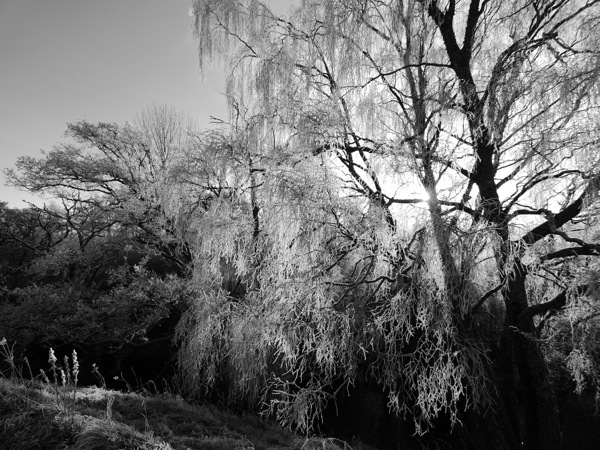  Black and White Winter Beauty in the Scottish Highlands Print