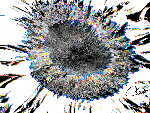 Monochrome Smeared Sunflower Head  Print