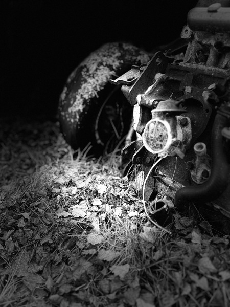 Scenes from the Trail- Disintegration Print