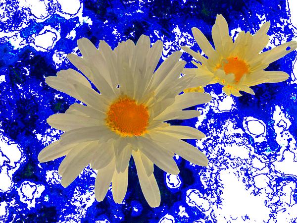 Abstract Daises Abstract Background Print