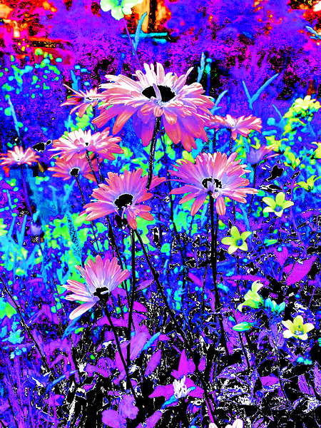 Abstract Surreal Daises in the Garden Print