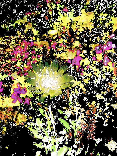 Abstract Chaotic Green Daisy Flower  Print