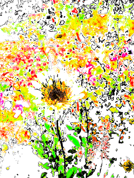Abstract Vibrant Daisy Flower Print