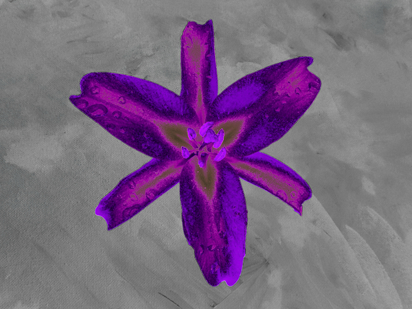   Abstract  Stunning Purple Lily Print