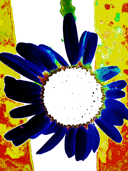  Abstract Large Daisy Flower  Print
