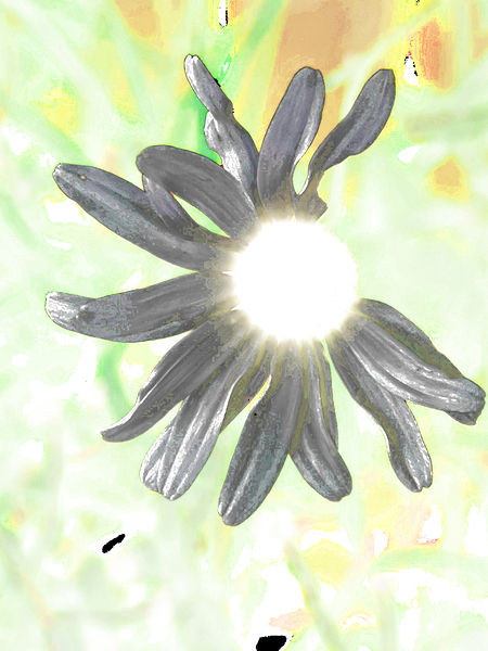  Abstract Daisy Sunbeam Print