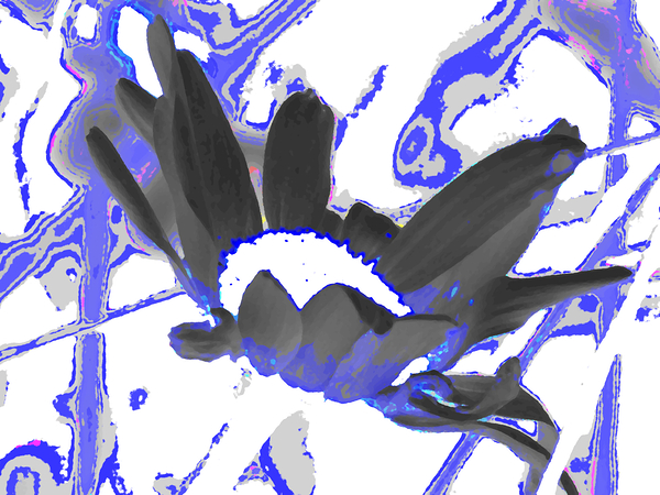  Abstract Wild Daisy Flower Print