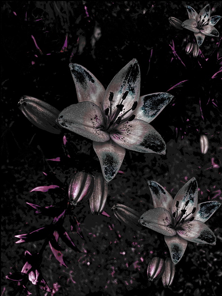 Abstract Dark Moody Lilies Print