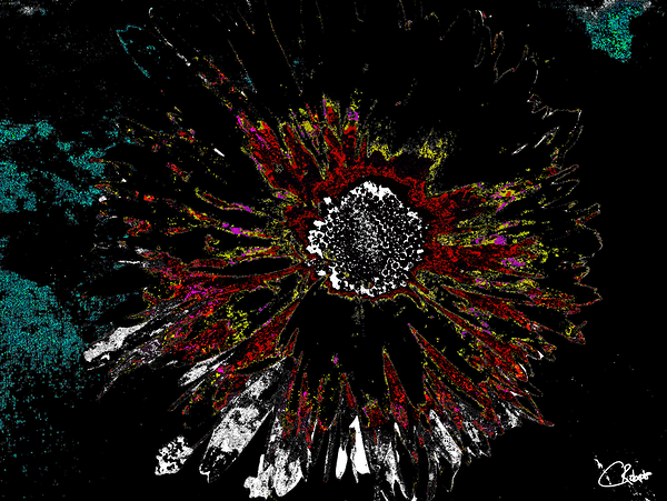 Abstract Vibrant Dark Daisy on an Abstract Background  Print