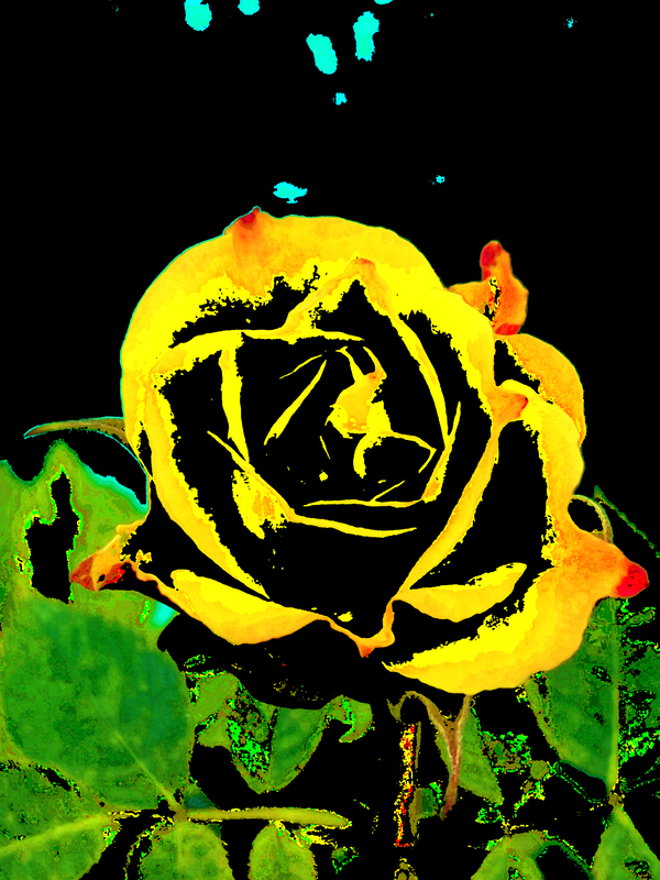 Abstract Rose  Print