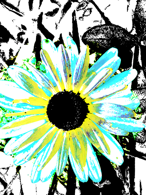 Abstract Vibrant Daisy Print