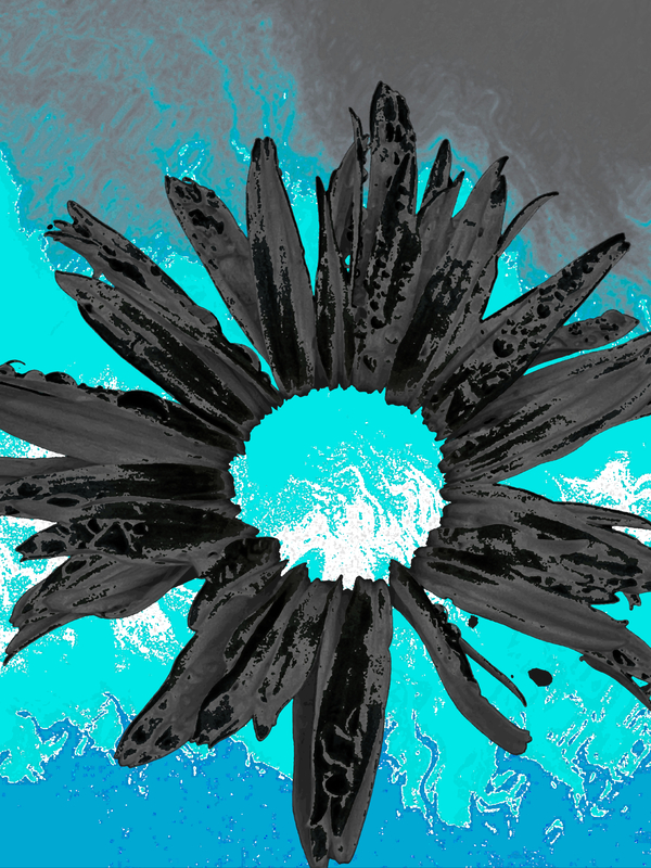 Abstract Dark Fiery Daisy on a Turquoise Abstract Background Print