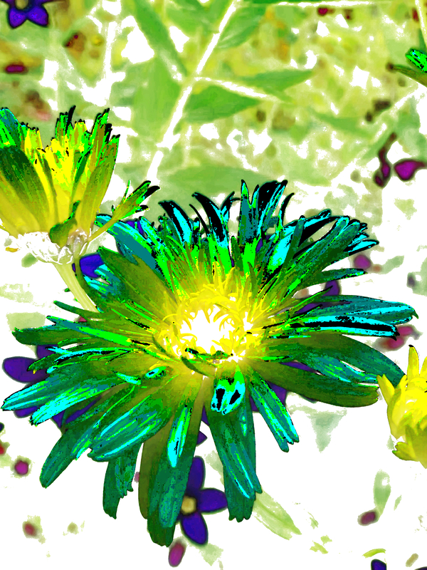 Abstract Glowing Summer Daisy Light Print