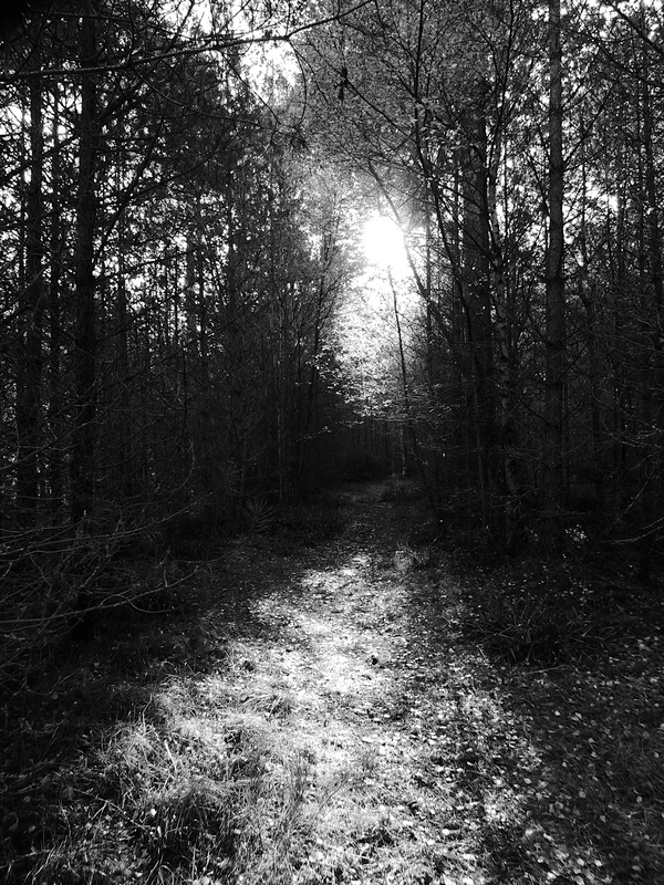  Autumns Suns Dark Kiss for the Scottish Highlands Print