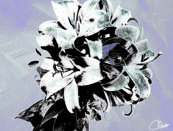 Greys and Blacks Poster Lilies Pop Art Print