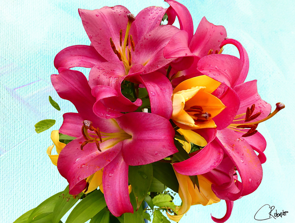  Red Bouquet of Lily Flowers Print