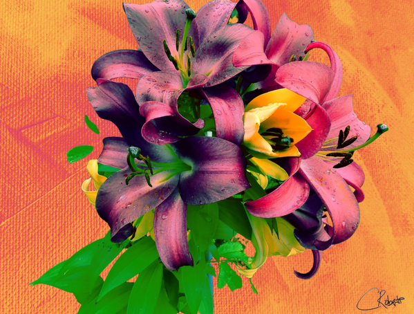 Orange Poster Lilies  Print