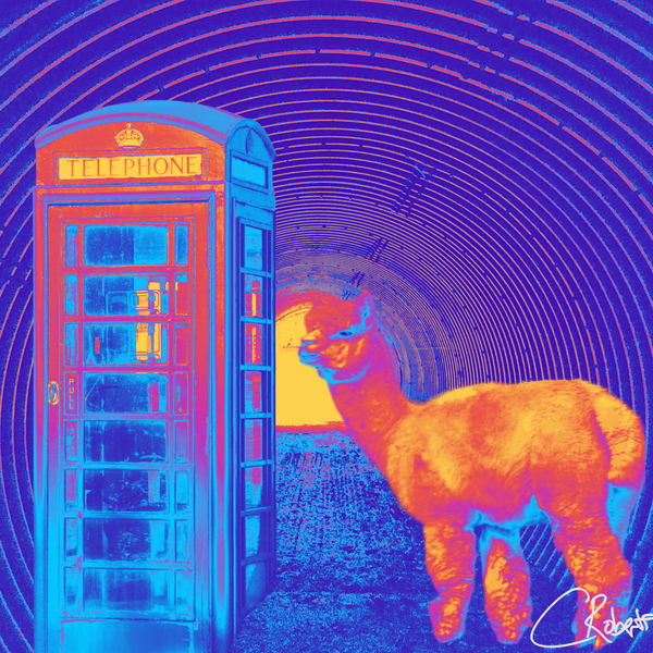 Tunnel Phone Box Lama and Randomness in the Scottish Highlands  Print