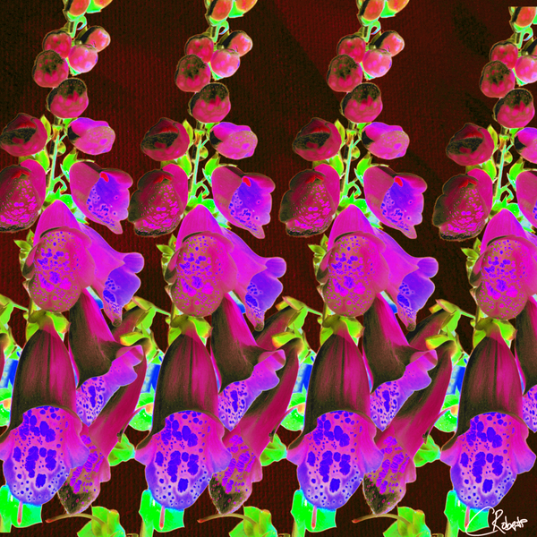 Cool Foxgloves Version 5 Print
