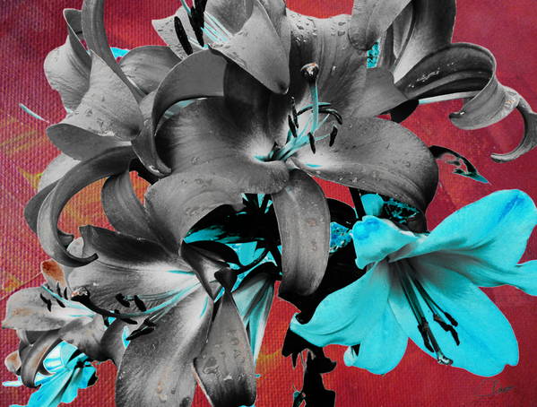  Darkly Inverted Poster Colour Lilies Print