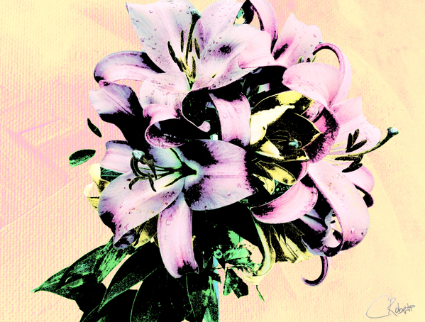 Faded Poster Lilies  Print