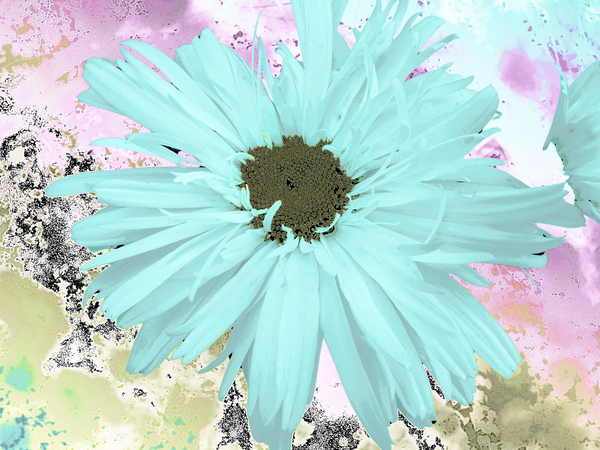 Abstract Pastel Daisy Flower Print