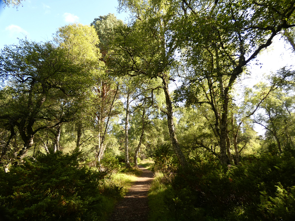  Leaving the Shadow Land in the Scottish Highlands Print