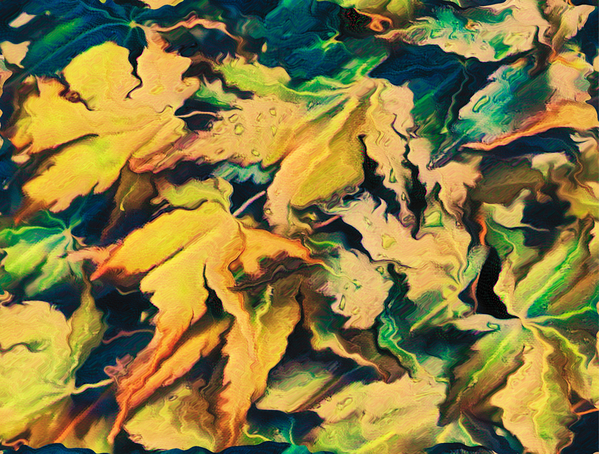 Abstract Acer Autumnal Leaves Print