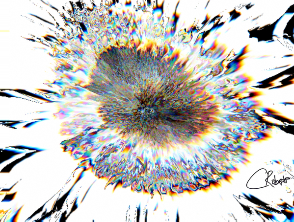 Pale Smeared Sunflower in Monochrome Print