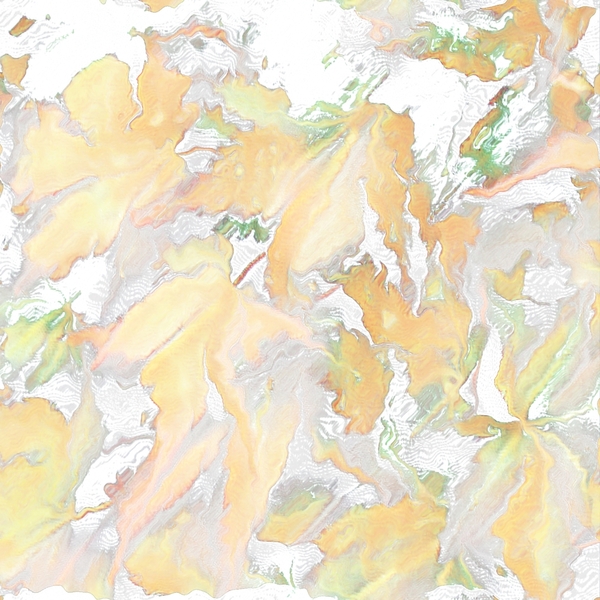 Faded Abstract Acer Autumnal Leaves Print