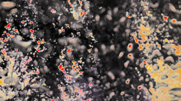  Dark and Red Tree through a Rain Streaked Window Print