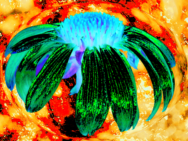 Abstract Green Cone Flower Too on an Orange Abstract Background  Print