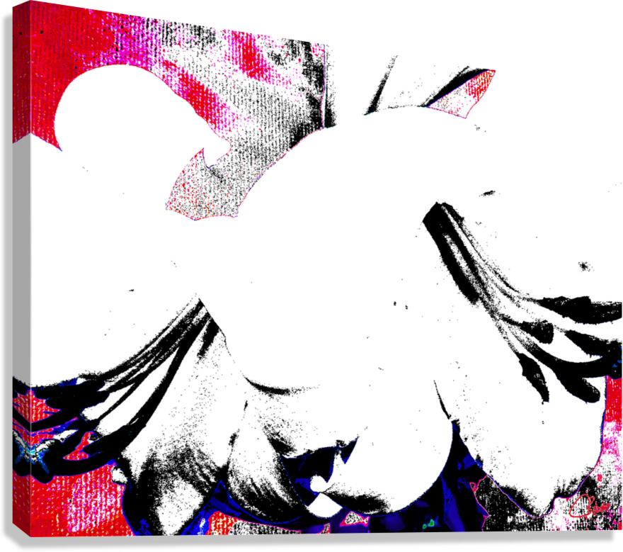 Abstract Black and White Lilies Canvas Print