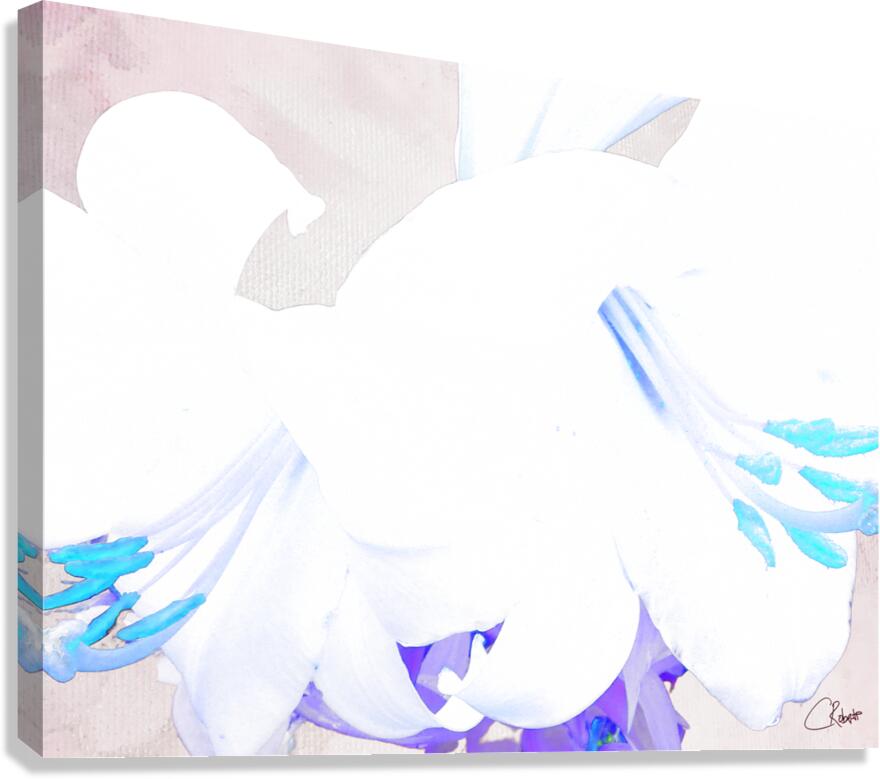 Abstract Pale Lilies Canvas Print