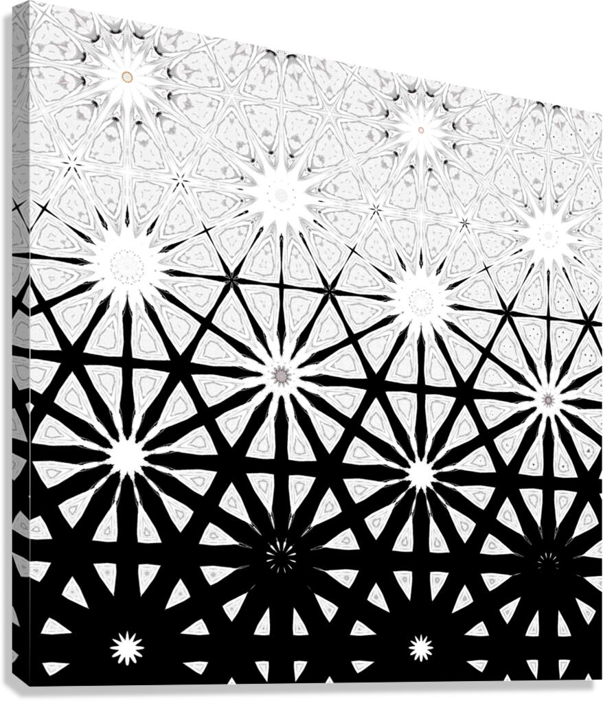 Abstract Black and White Stars Design Canvas Print