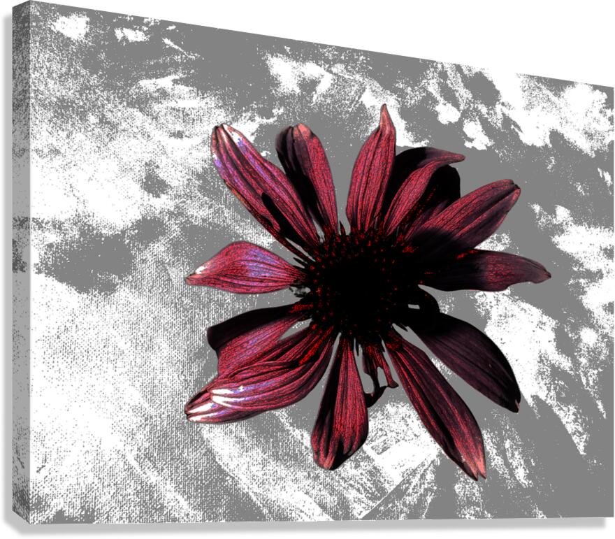 Abstract Textured Maroon Cone Flower Canvas Print
