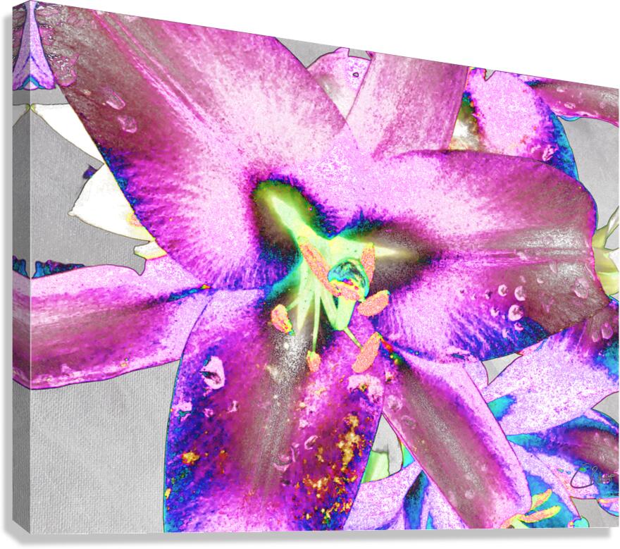 Abstract Colour Popping Lilies  Canvas Print
