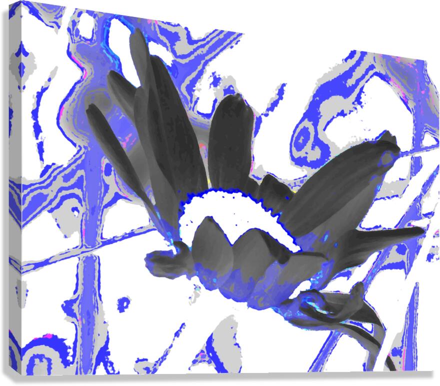  Abstract Wild Daisy Flower Canvas Print
