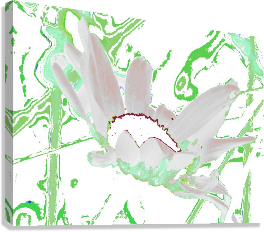 Abstract Green and White Daisy Canvas Print