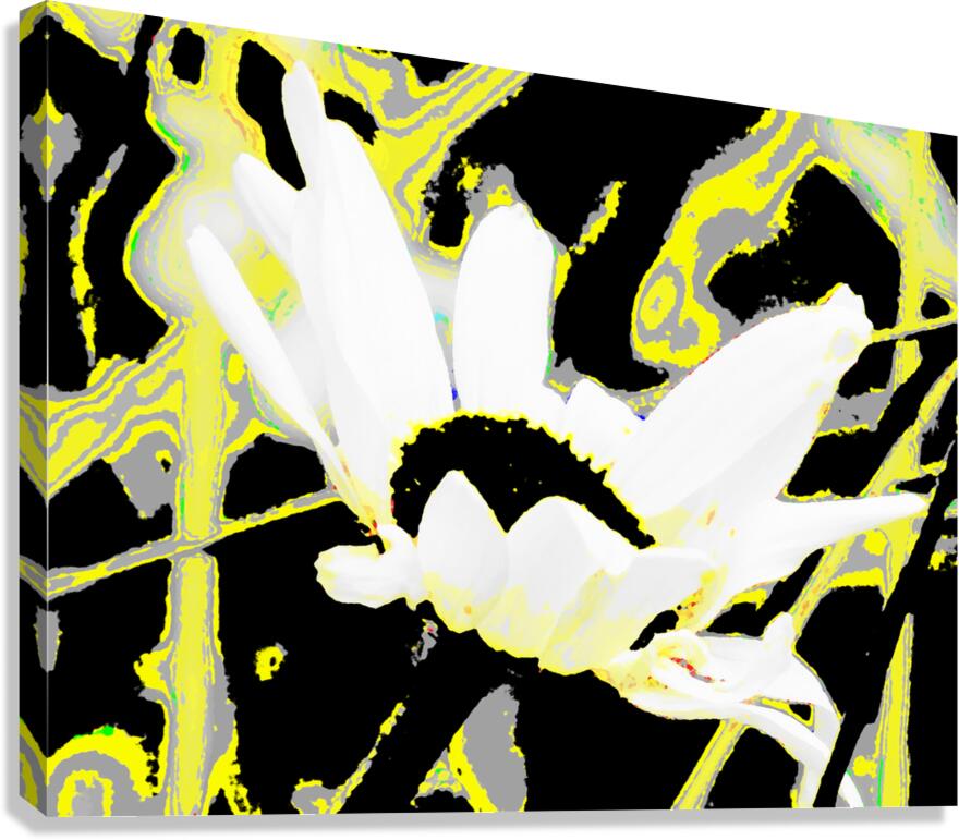 Abstract Neon Daisy Flower Canvas Print