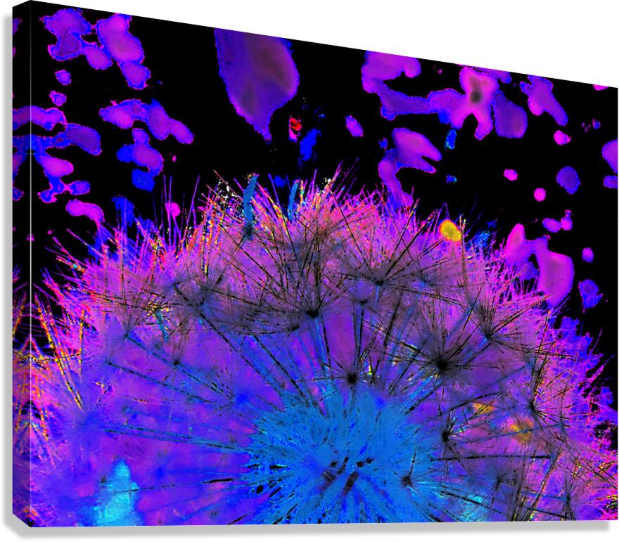 Abstract Neon Dandelion Seeds Close Up Canvas Print