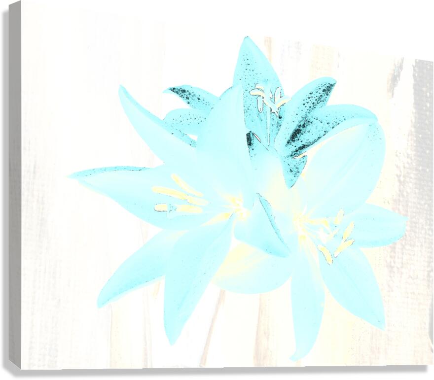 Abstract  Distressed Trio of Lime Lilies Canvas Print