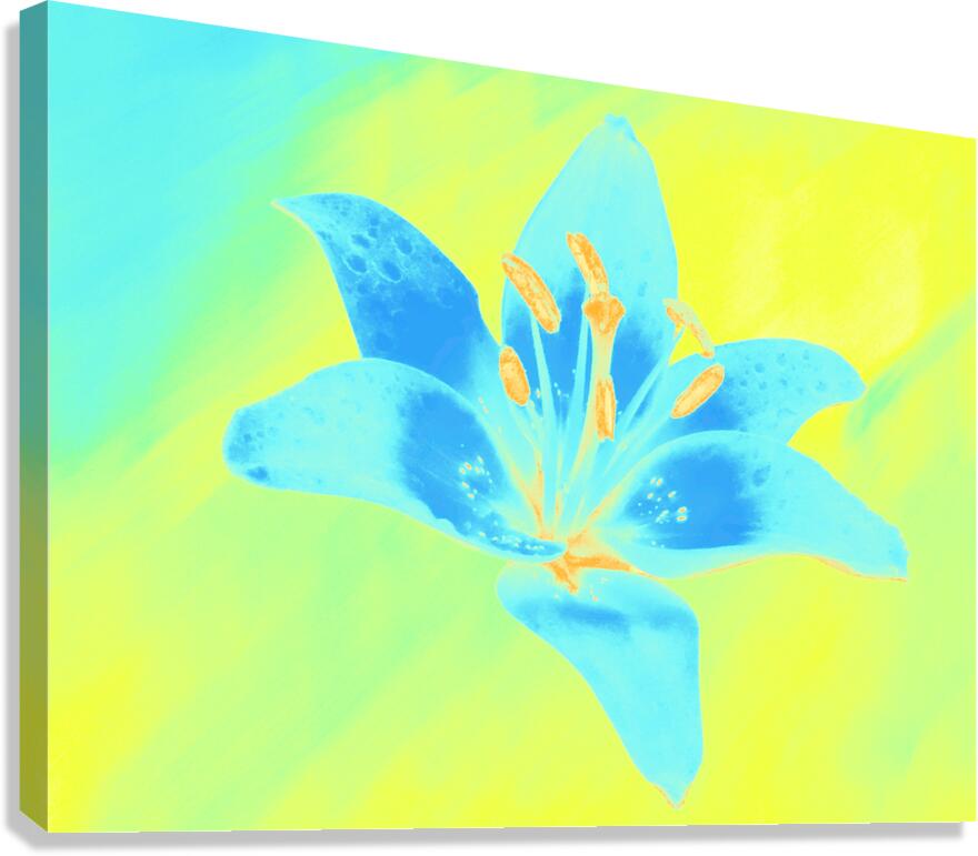 Abstract Vibrant Blue and Yellow Single Lily Flower Canvas Print