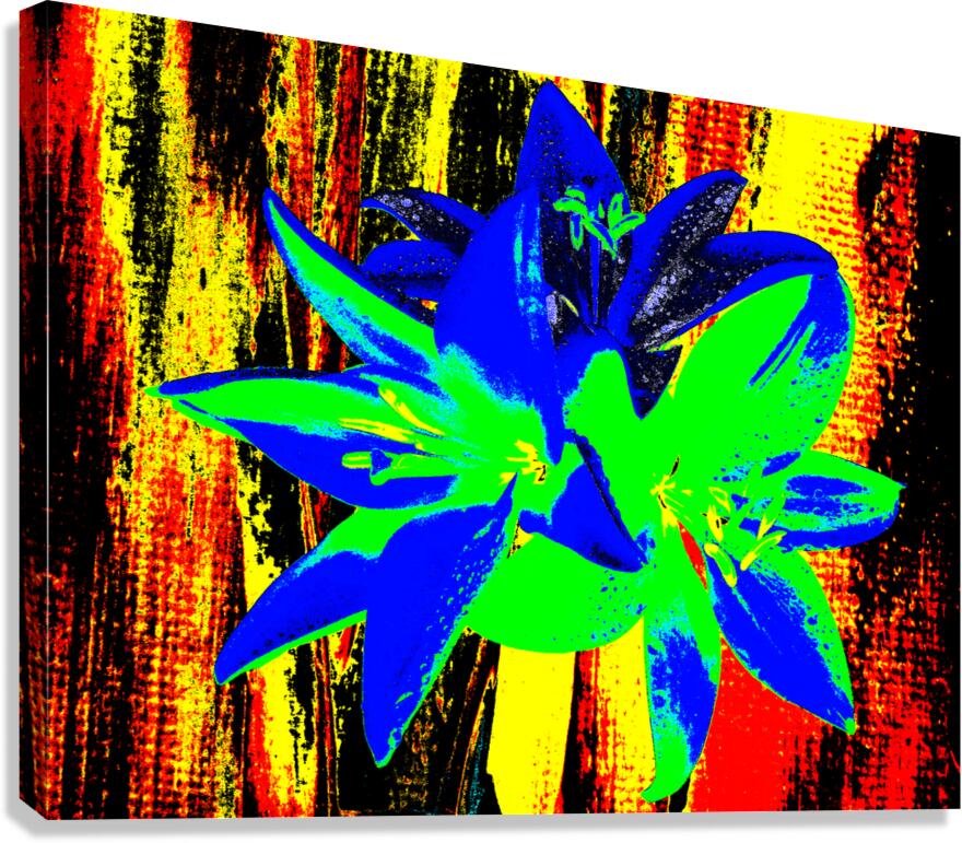 Abstract  Bright Colourful Trio of Lilies Canvas Print