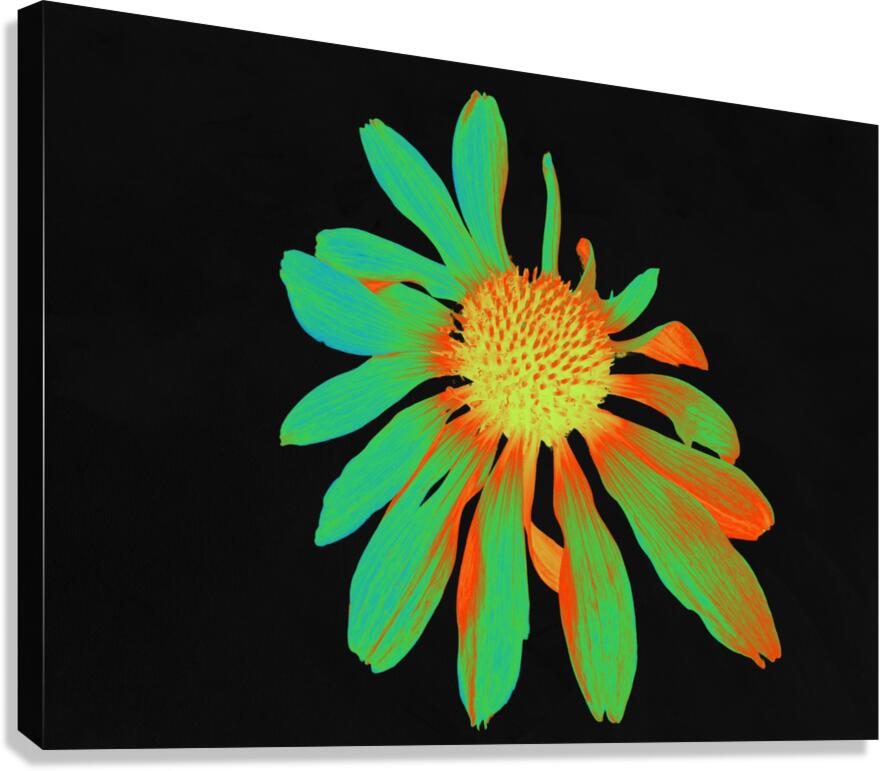 Abstract Neon Glowing Cone Flower  Canvas Print
